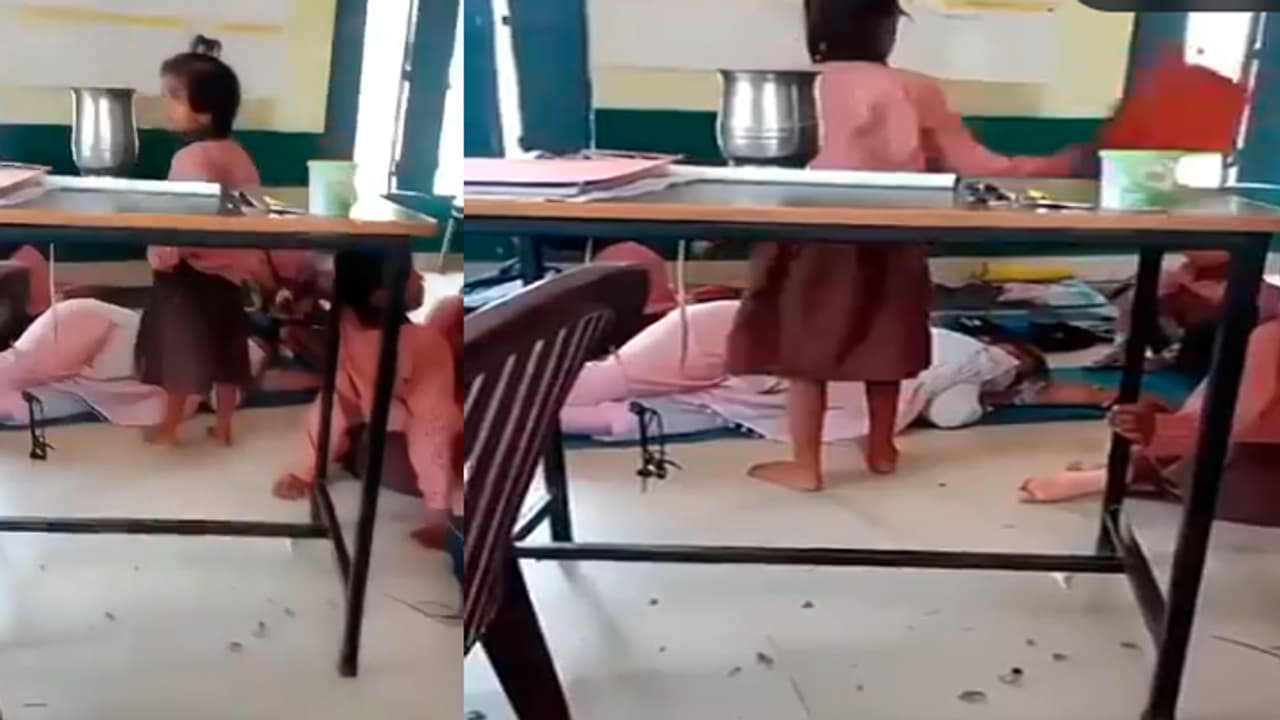 primary school teacher primary school teacher