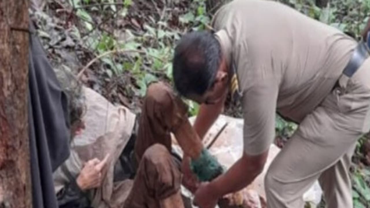 Sindhudurg forest Sindhudurg forest