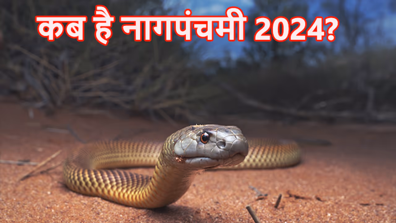 nag panchami 2024 nag panchami 2024
