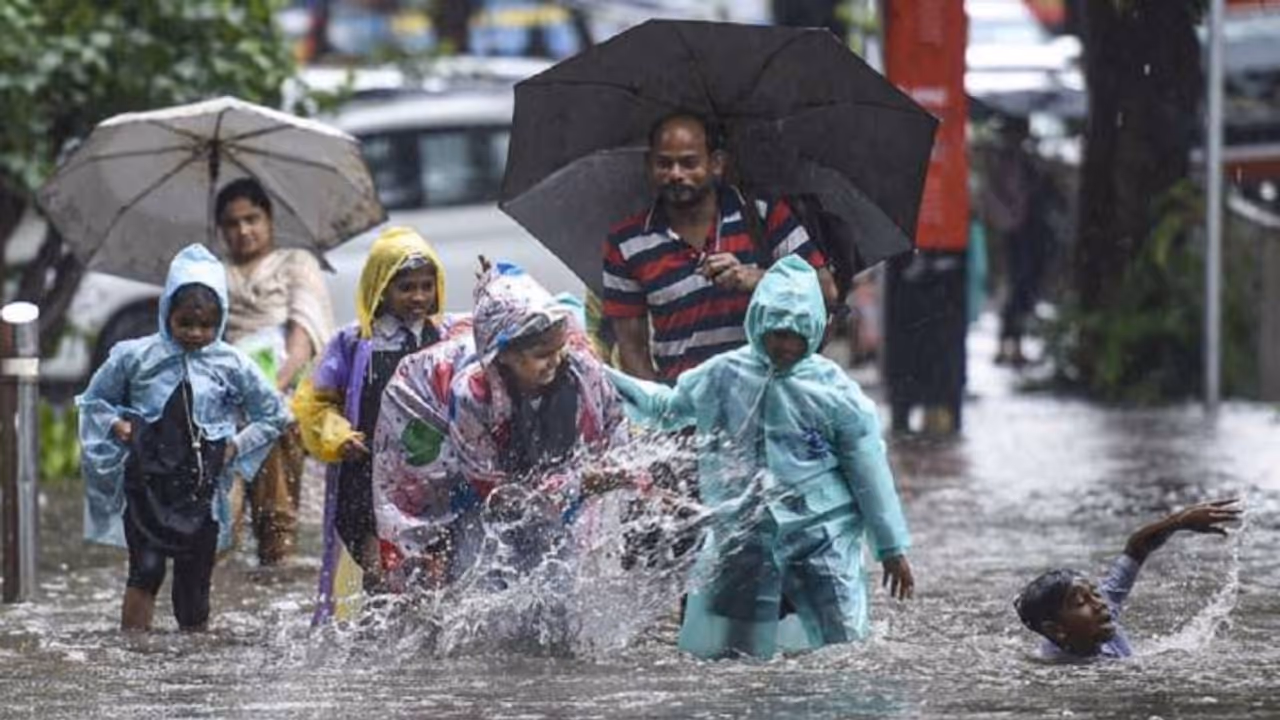 rain in rajasthan rain in rajasthan