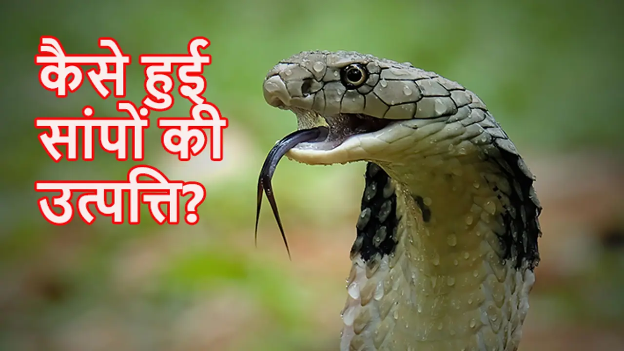 nag panchami 2024 nag panchami 2024