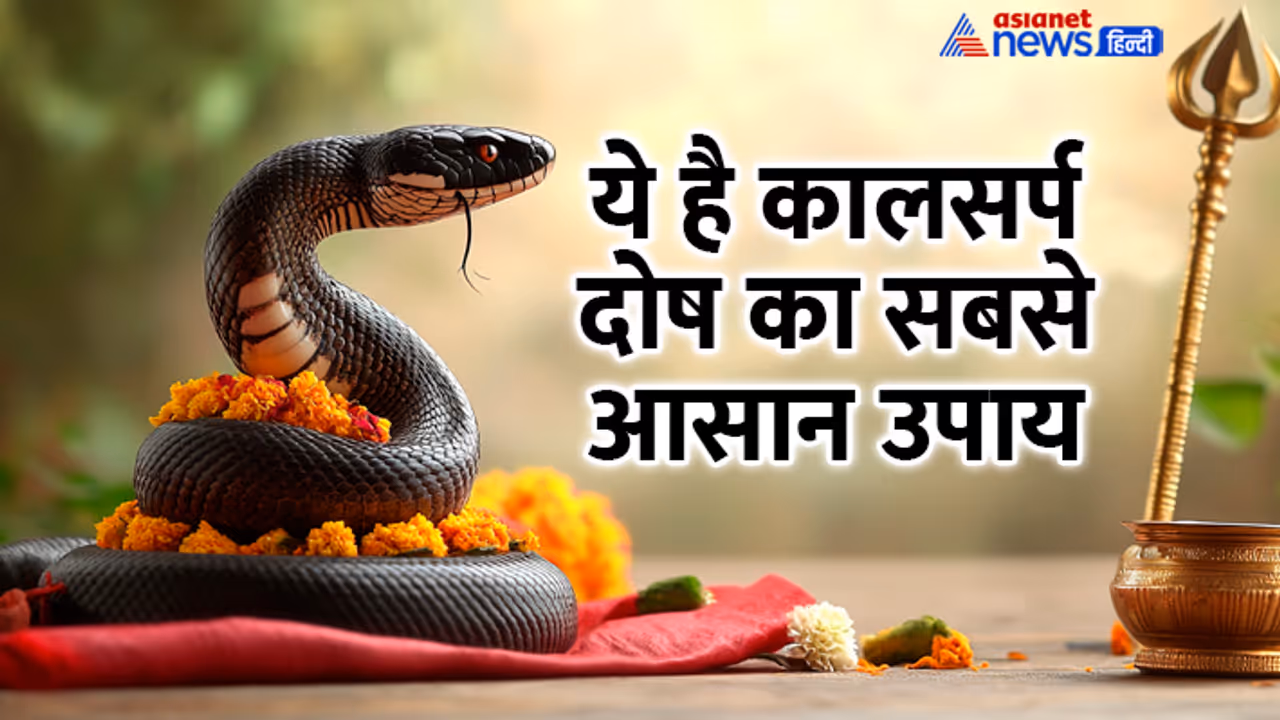 Nag PAnchami 2024 kal sarp dosh upay Nag PAnchami 2024 kal sarp dosh upay