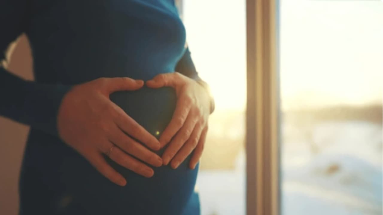 pregnant ladies pregnant ladies