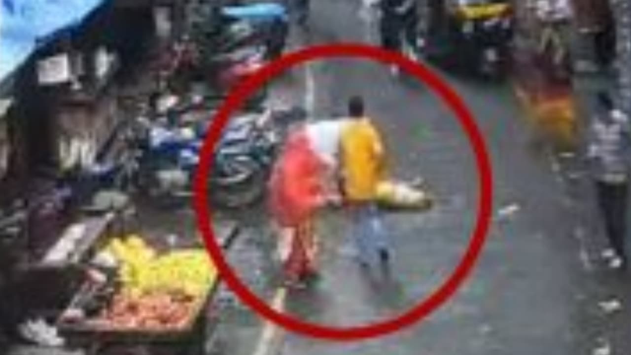 pet dog falls pet dog falls