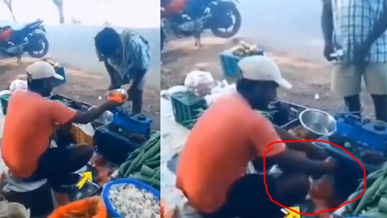 fresh vegetables fresh vegetables