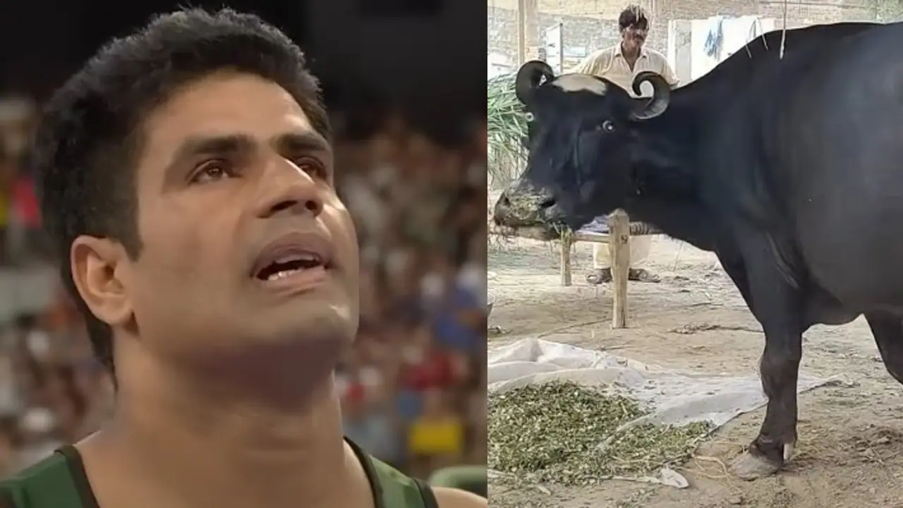 Arshad Nadeem Arshad Nadeem