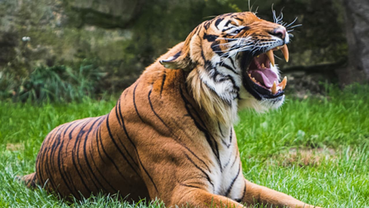New Jersey zoo viral video