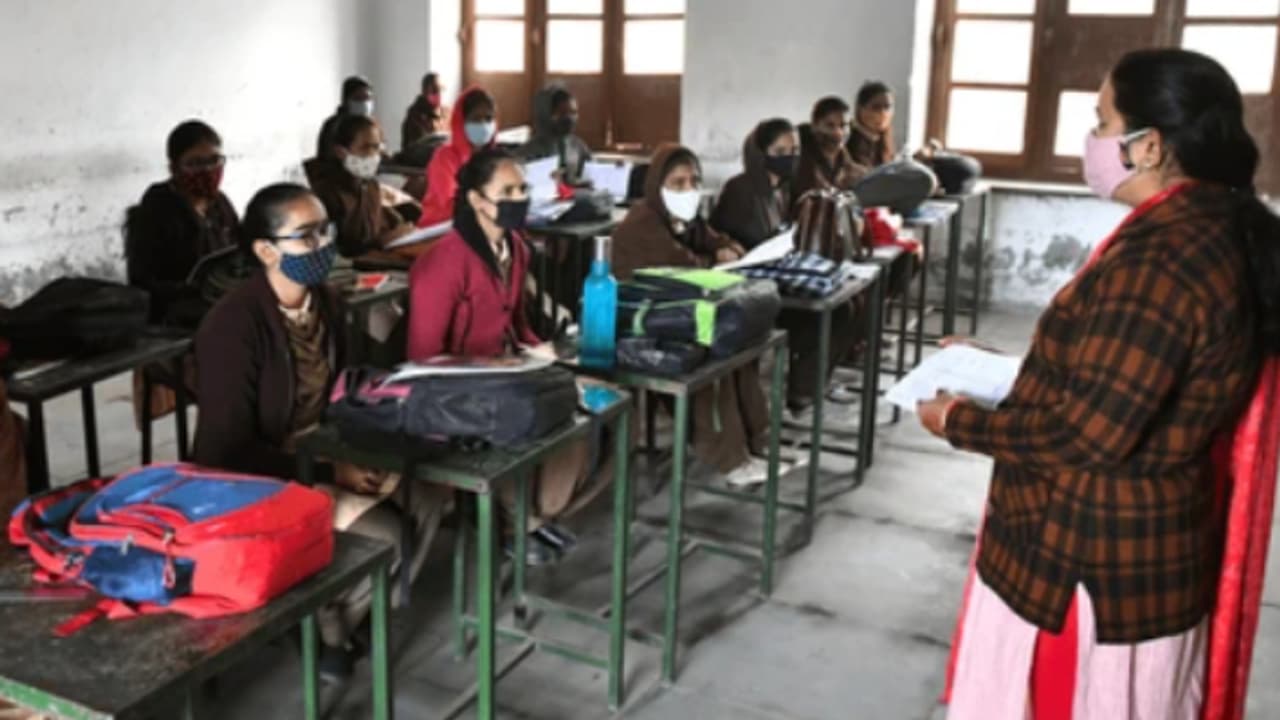 government school government school