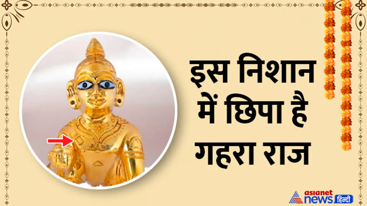 janmashtami 2024 who kiched vishnu on chest