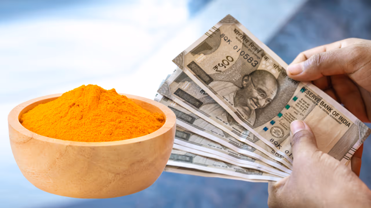 financial upay of haldi