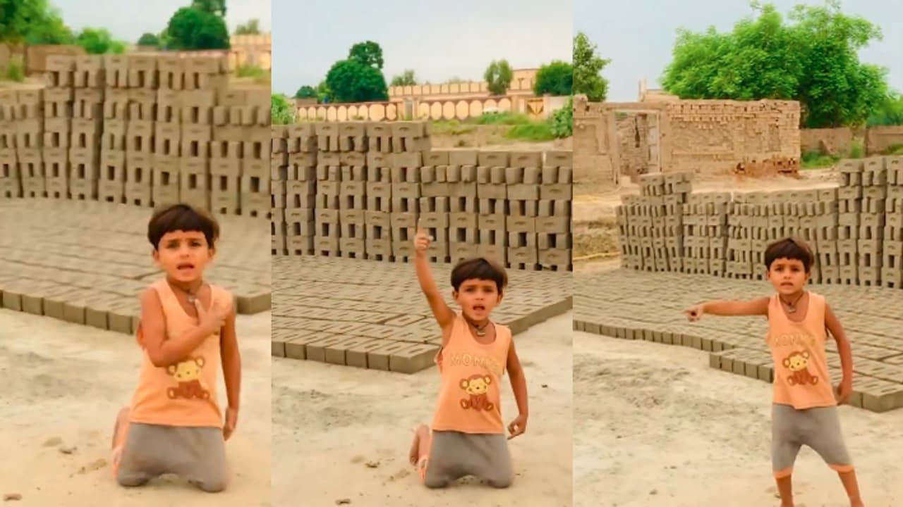 viral video viral video