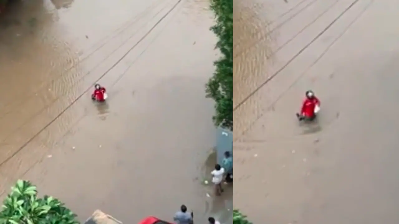 viral video zomato delivery boy viral video zomato delivery boy