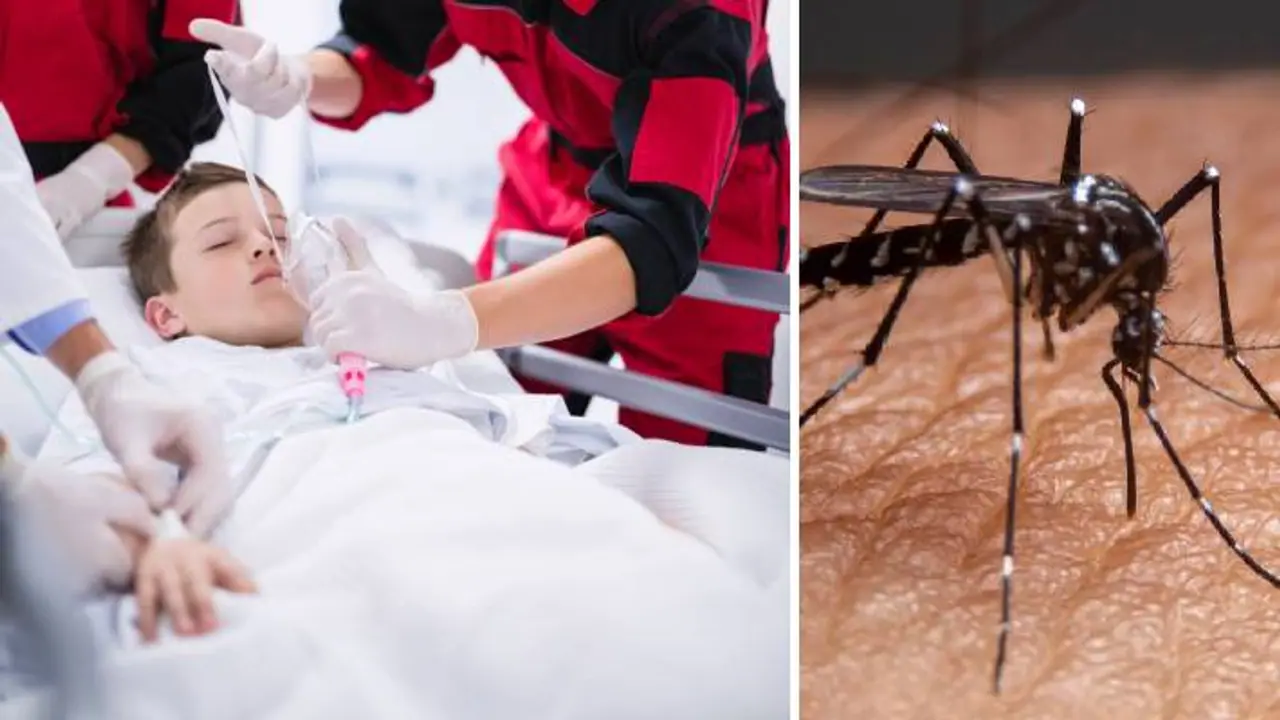 severe dengue emergency care in children