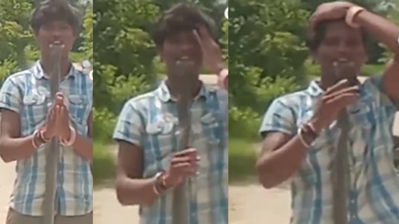 snake rescue snake rescue