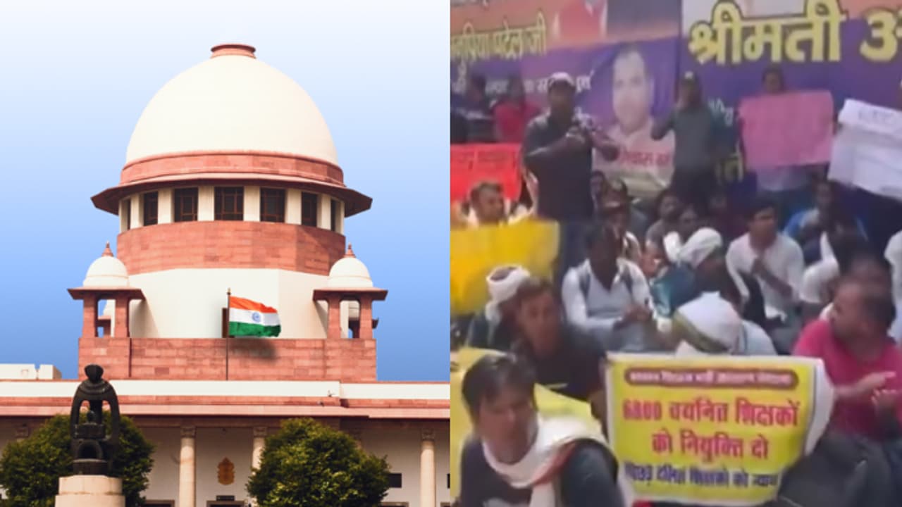 sc on up case sc on up case