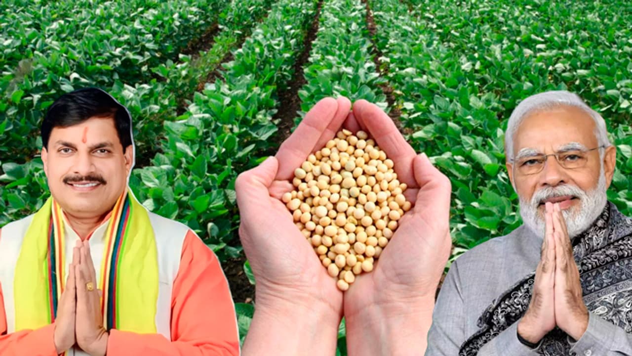 mohan yadav thanked PM Modi govt for soyabean suppoert price