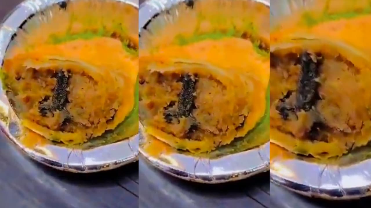 Frog samosa Frog samosa