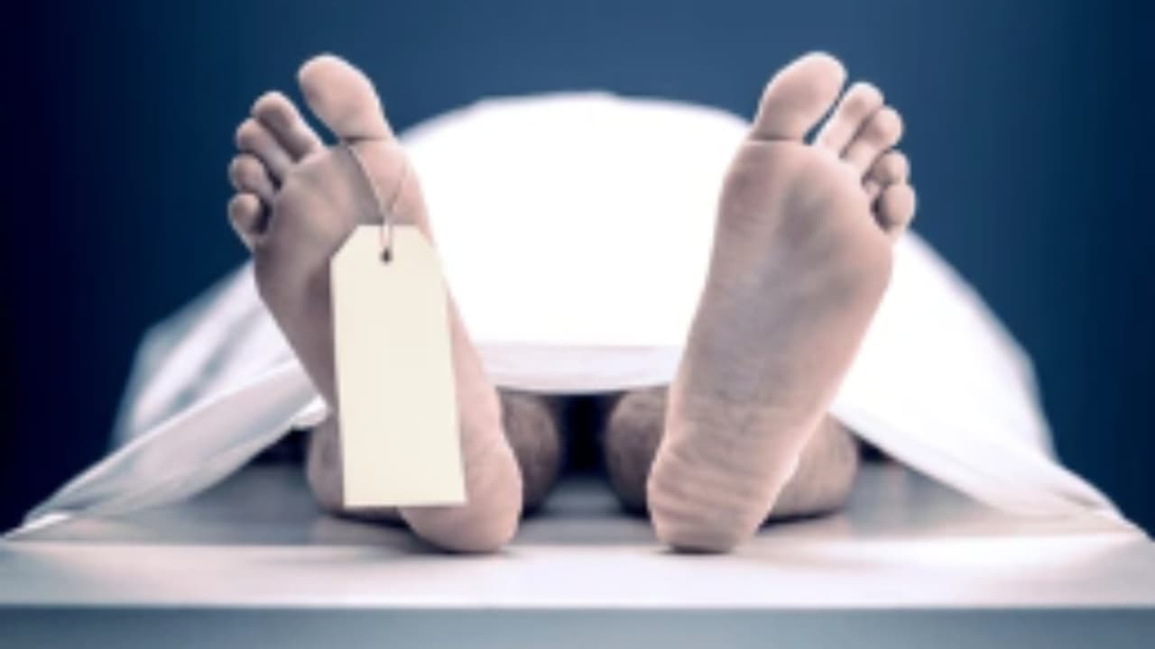 school principal school principal