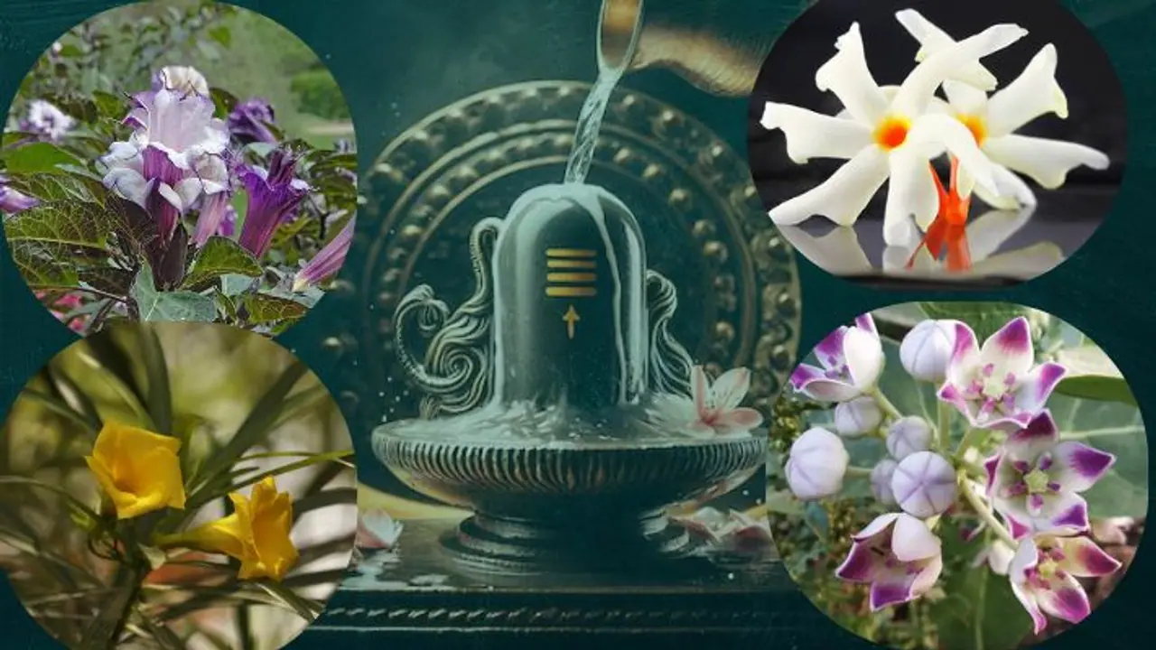 names of flowers loved by shiv names of flowers loved by shiv
