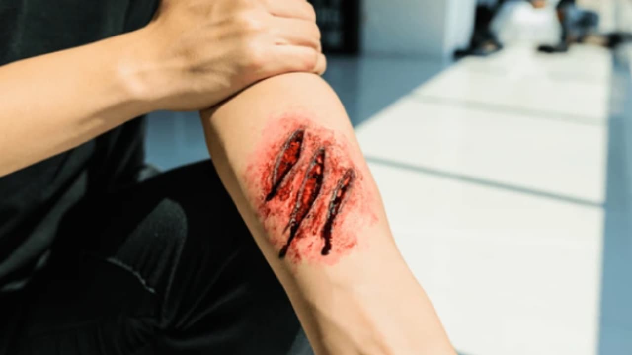 rajasthan wild boar rajasthan wild boar