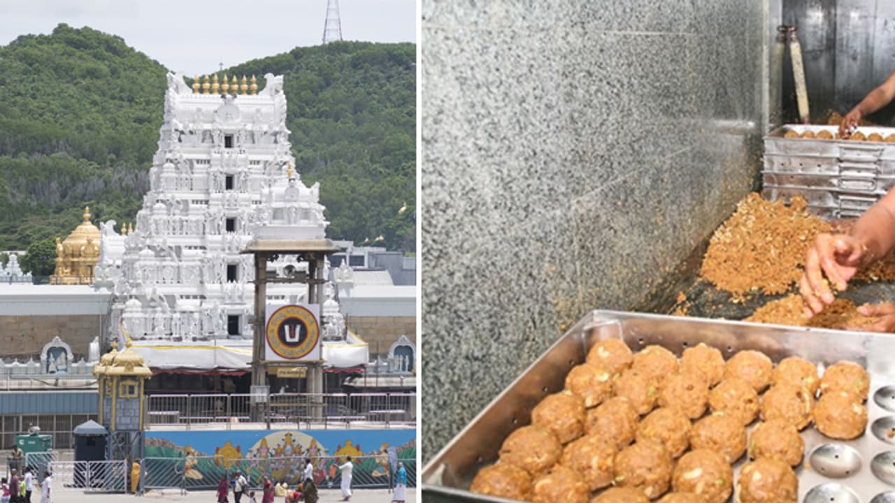 Tirupati Laddu controversy