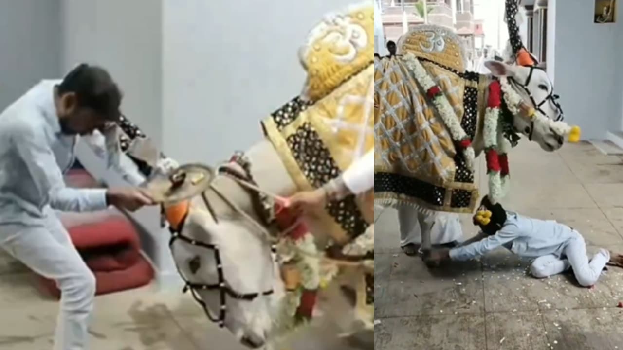 nandi gets angry nandi gets angry