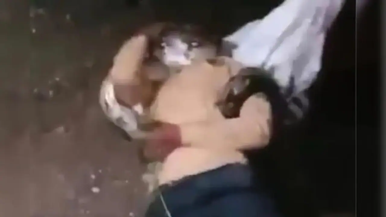 Rajasthan Dungarpur A python attacked a youth, people saved his life Rajasthan Dungarpur A python attacked a youth, people saved his life