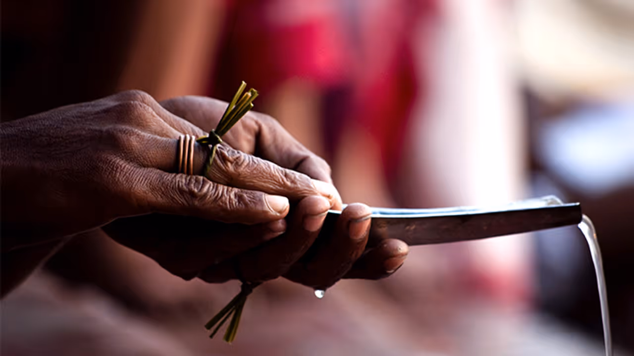 pitru paksha 2024 pitru paksha 2024