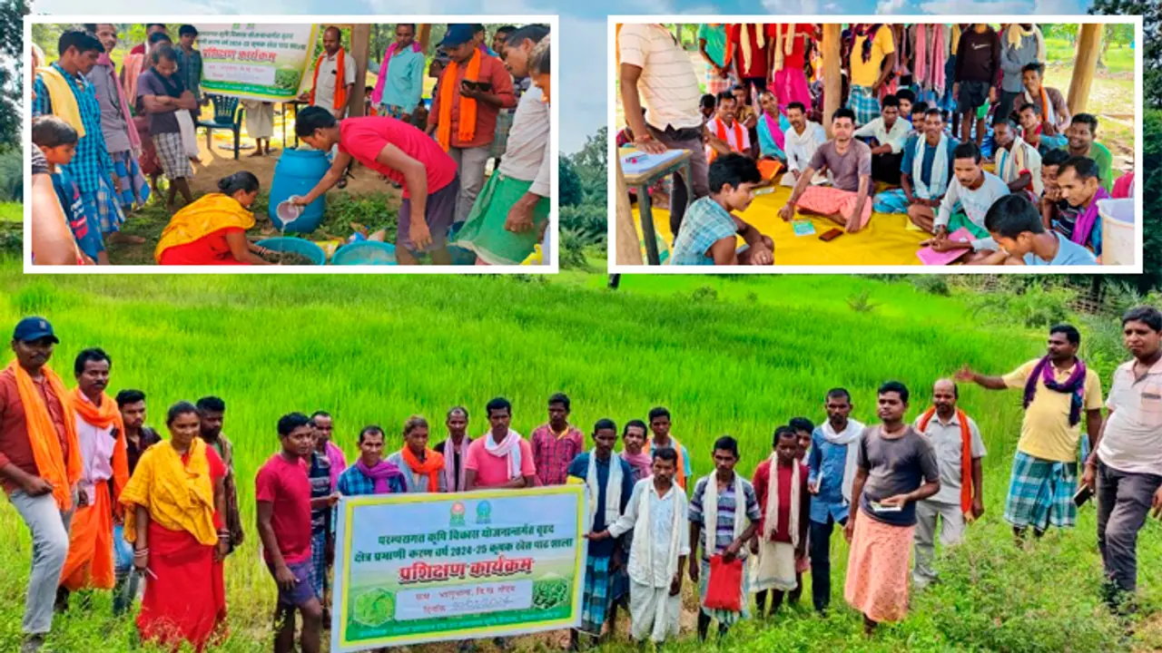 Dantewada to become organic agriculture district Dantewada to become organic agriculture district