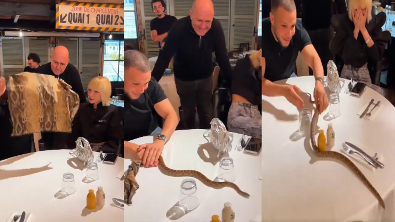 handkerchief snake handkerchief snake