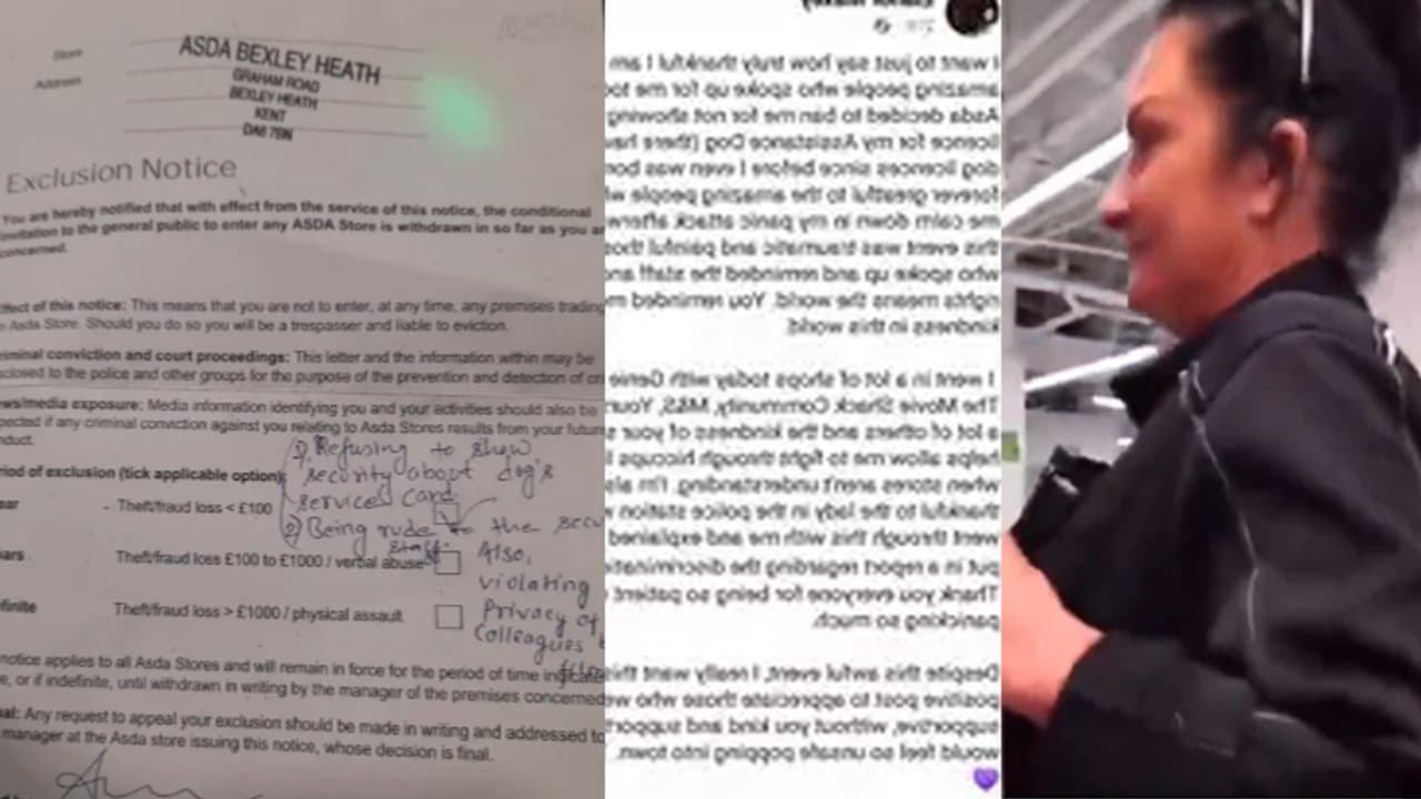 blind woman guide dog blind woman guide dog