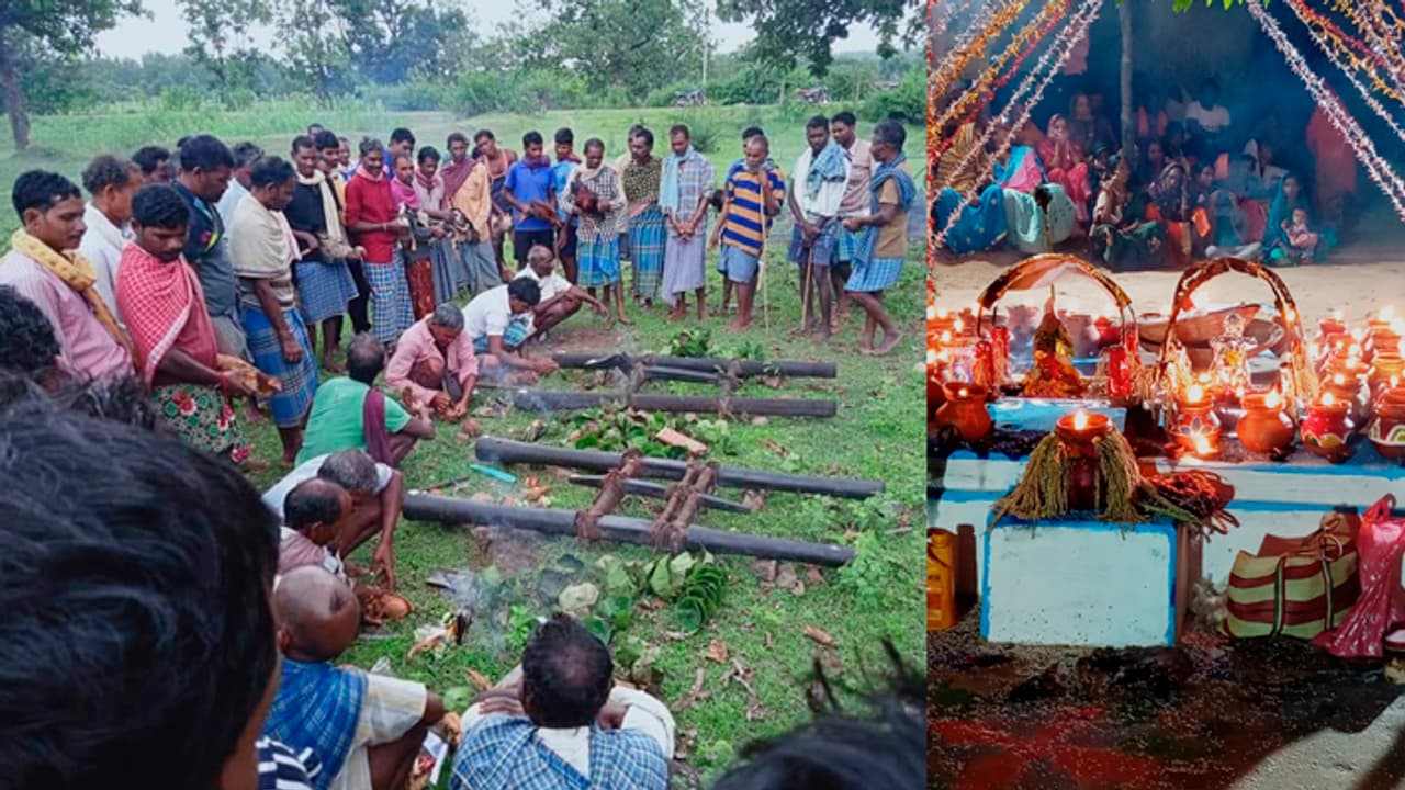 Chhattisgarh Forest Department is restoring the cultural heritage through conservation and promotion of Devguri sites Chhattisgarh Forest Department is restoring the cultural heritage through conservation and promotion of Devguri sites