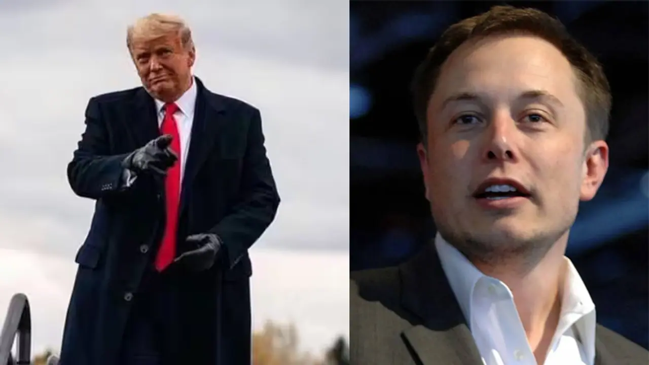 Elon Musk Profit Elon Musk Profit