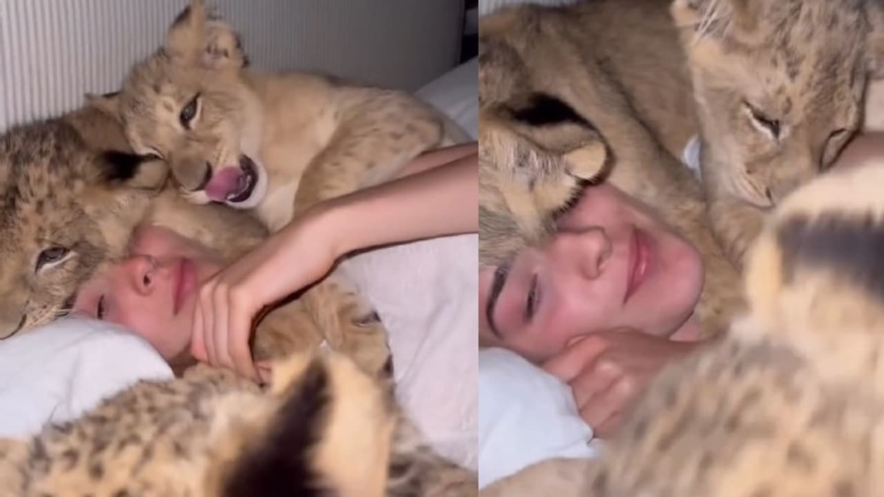 Woman with lions Woman with lions