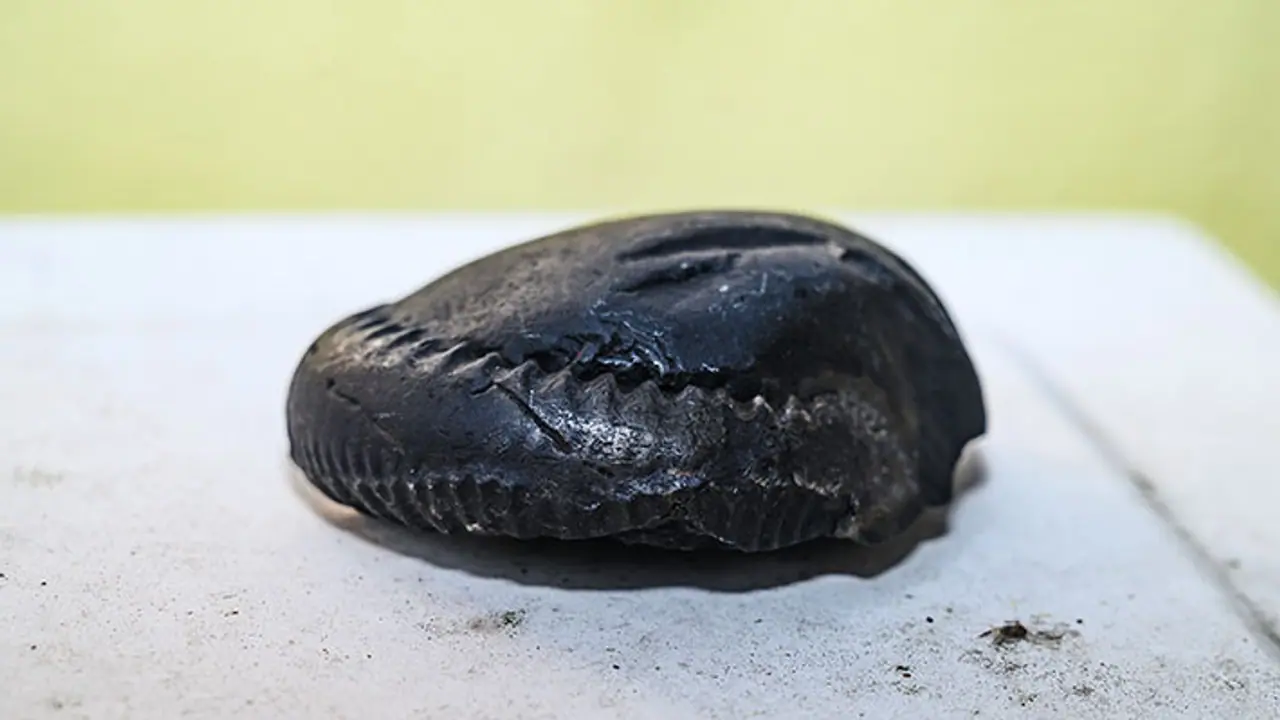 devuthni ekadashi 2024