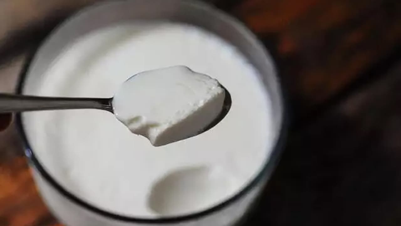 How to set curd in winter