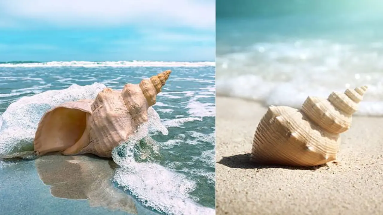 Spiritual benefits of keeping shankh at home Spiritual benefits of keeping shankh at home