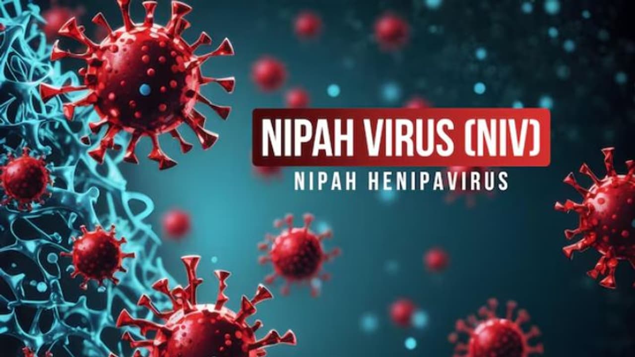 Nipah Virus