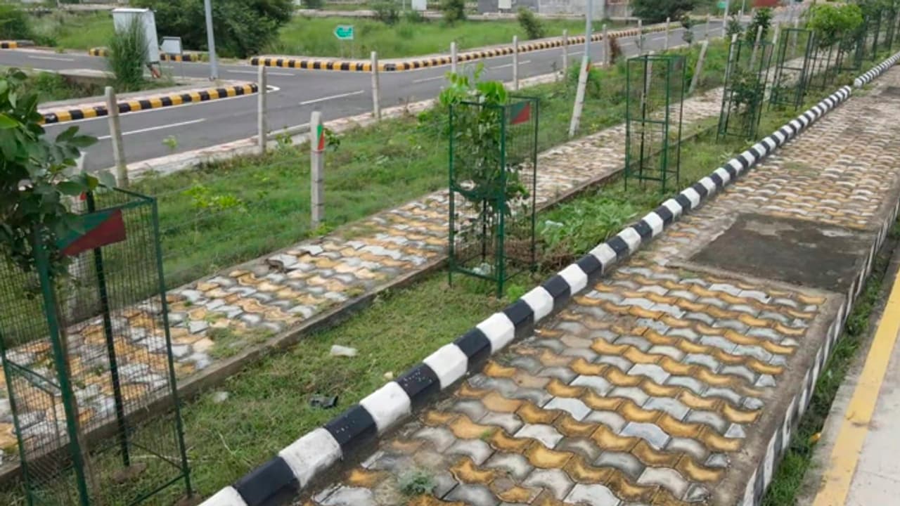 Mahakumbhnagar is transforming into a unique high density oxygen forest