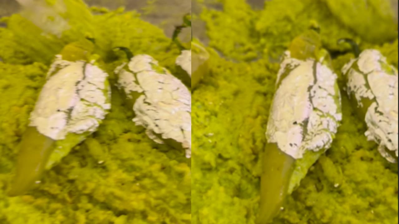 wedding dish sweet chili halwa wedding dish sweet chili halwa