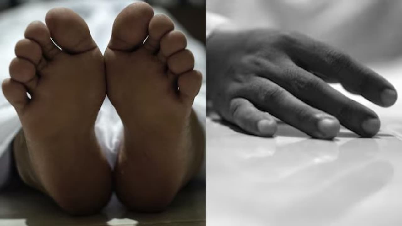 5 diseases that caused the most deaths in this year 2024 5 diseases that caused the most deaths in this year 2024