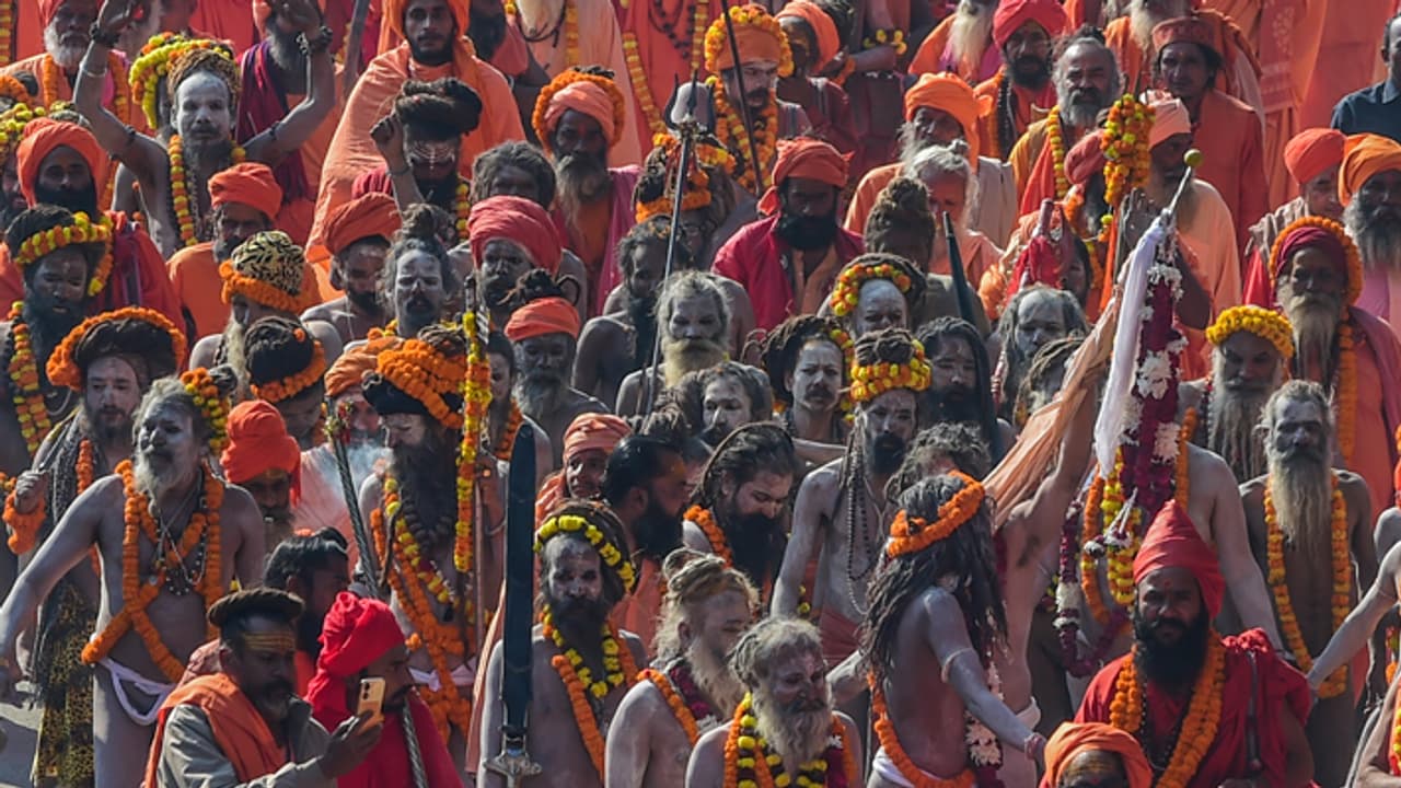 fibre resin artworks to beautify Prayagraj Mahakumbh 2025 Mela area fibre resin artworks to beautify Prayagraj Mahakumbh 2025 Mela area