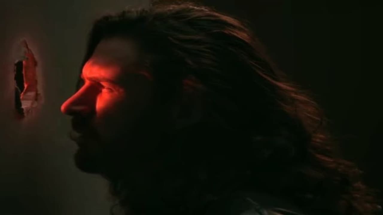 looking through the bathroom window looking through the bathroom window