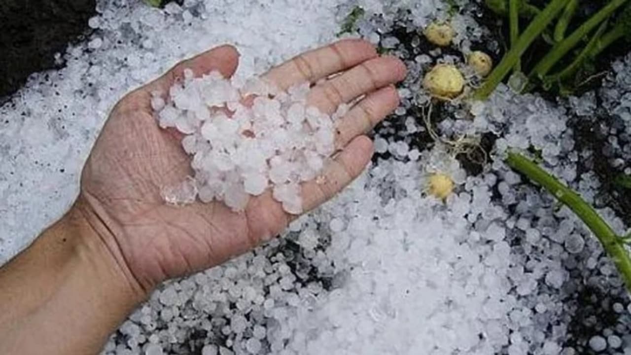 rajasthan weather alert rajasthan weather alert