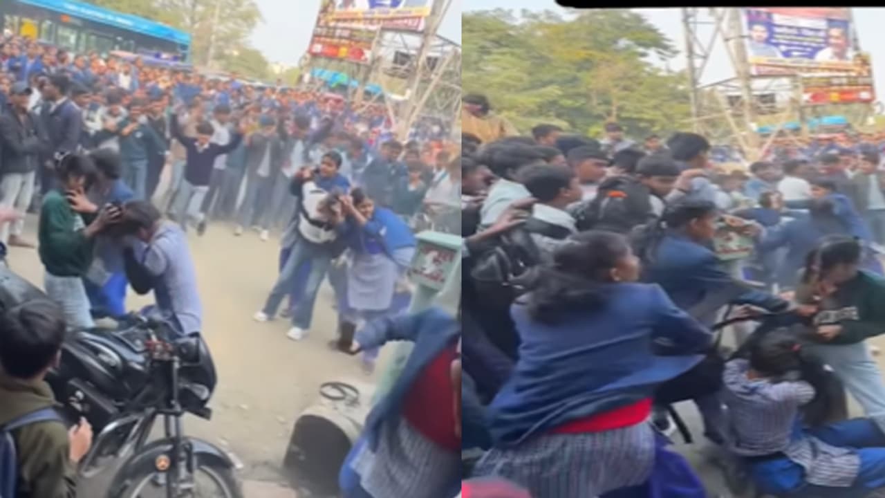 girls viral fight girls viral fight