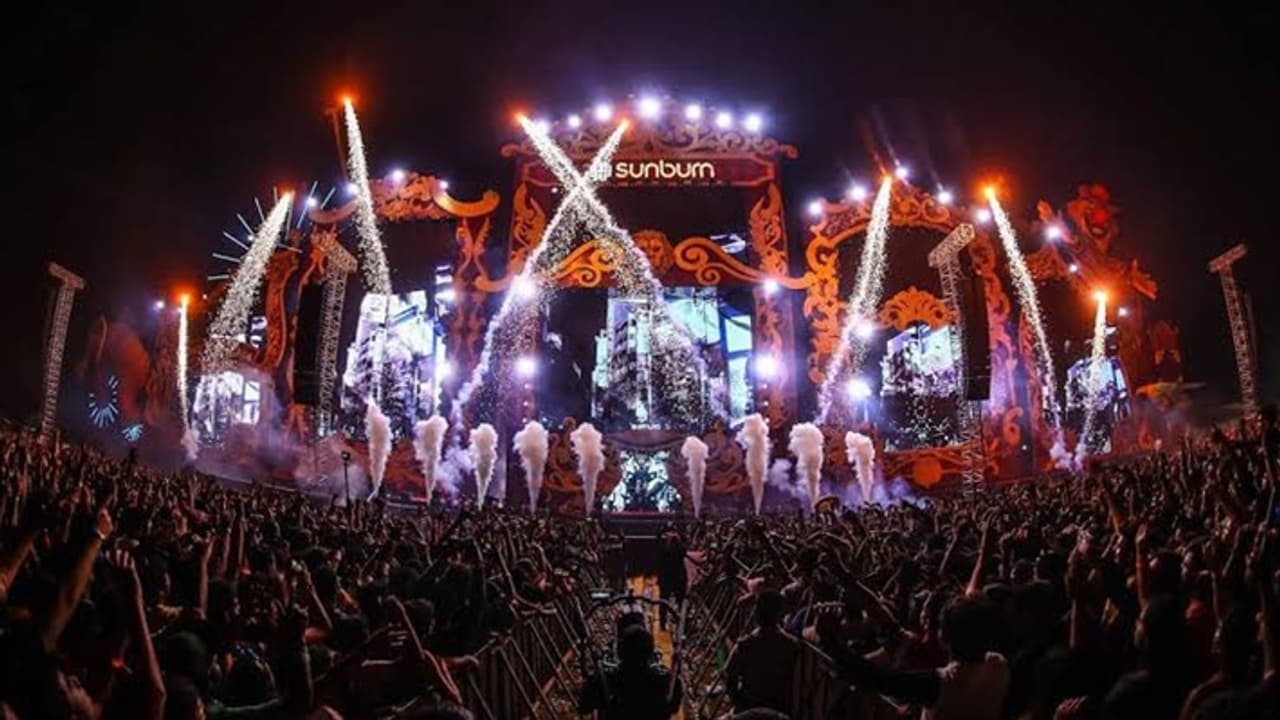 EDM fest in Goa