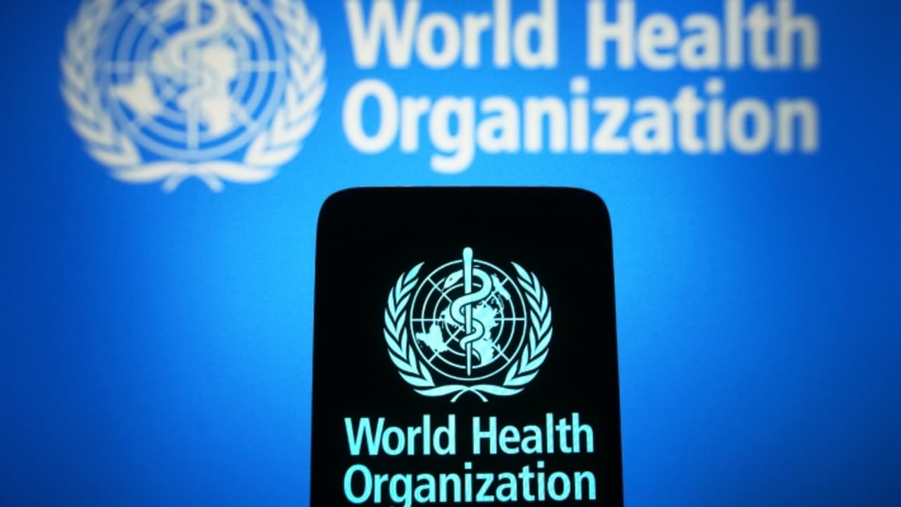 WHO Global Internship Programme WHO Global Internship Programme