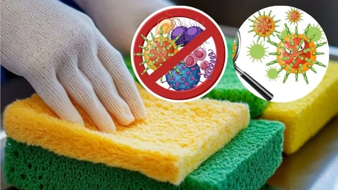 how to clean and make bacteria free kitchen sponge how to clean and make bacteria free kitchen sponge
