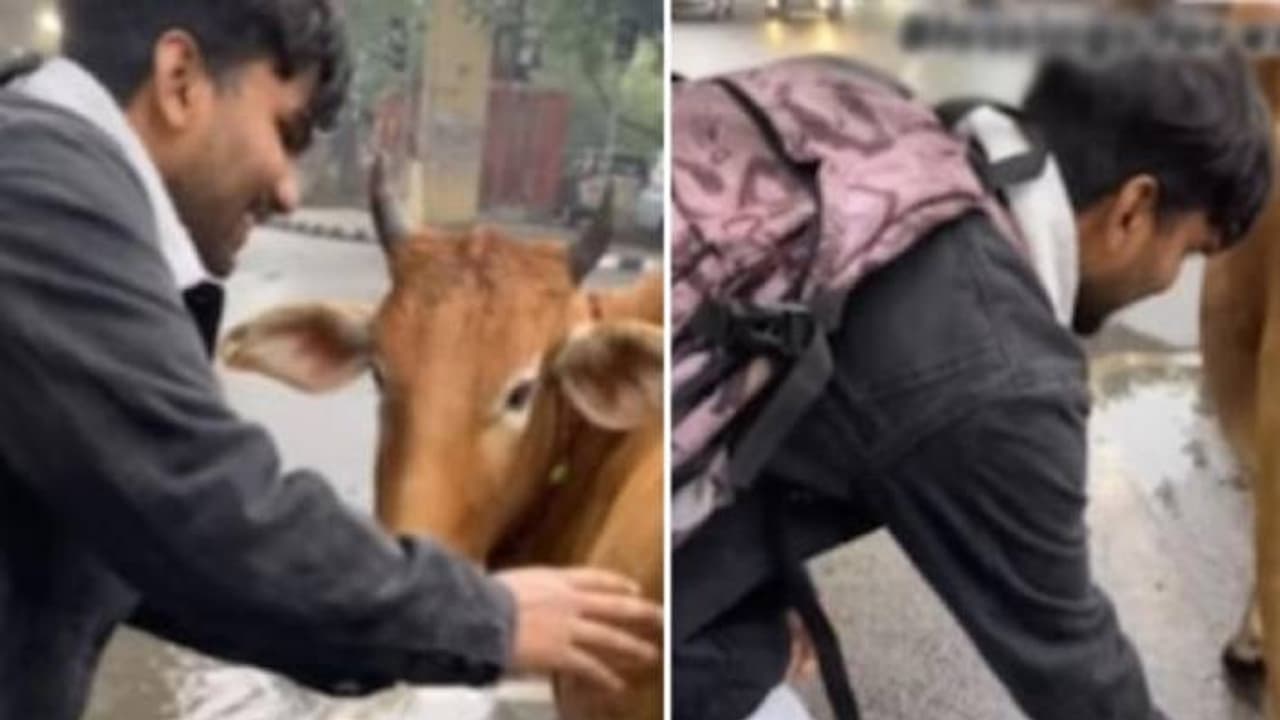 video viral video viral