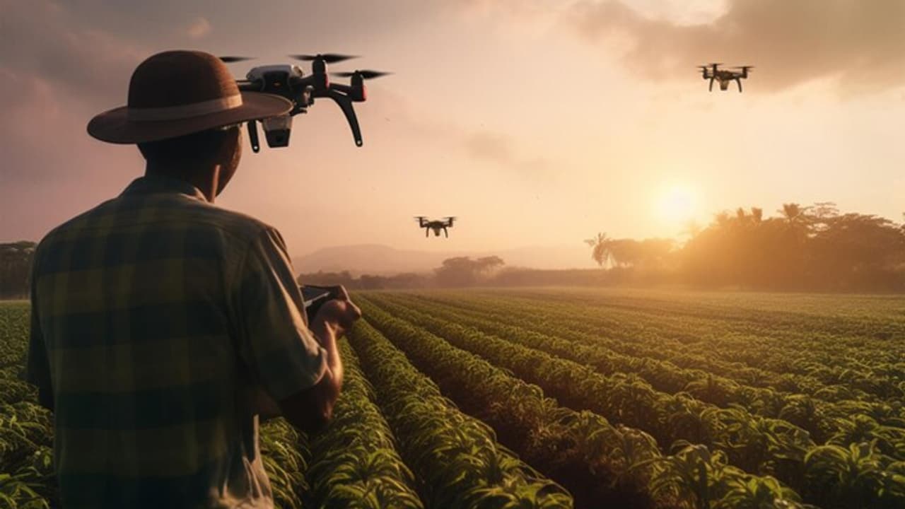 Farming inspirational stories Farming inspirational stories